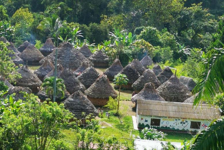 Typical houses in the village