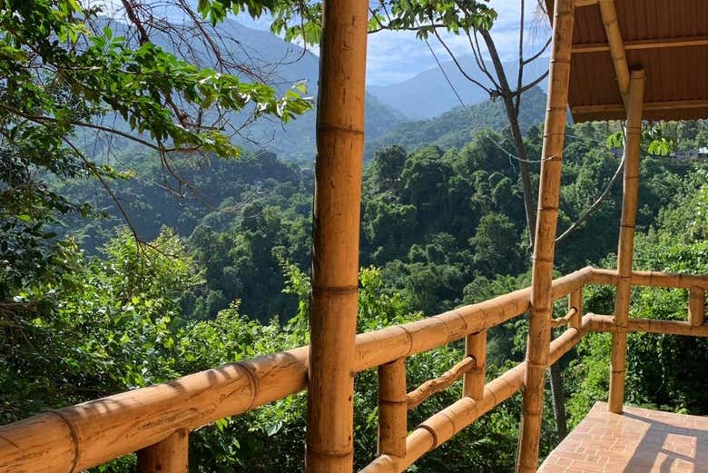 Enjoying the scenery from the bamboo house