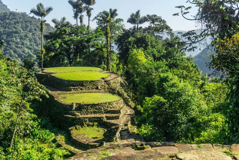 Restos arqueológicos tayronas en la Ciudad Perdida