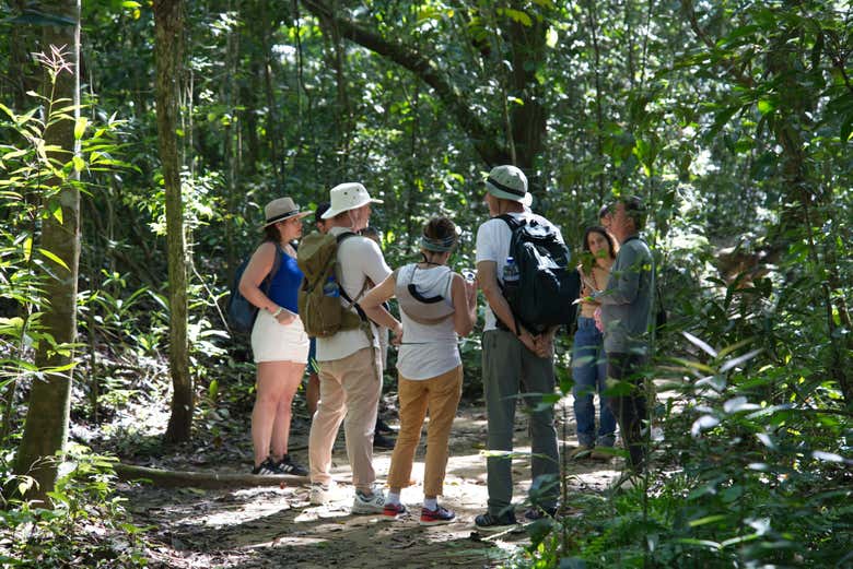 Haremos una caminata ecológica