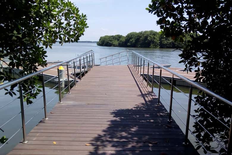 Pontile del molo