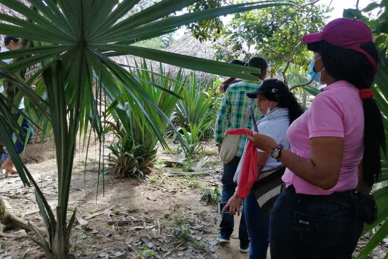 Exploring the jungle