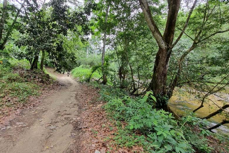 Ruta de senderismo por la Laguna Encantada