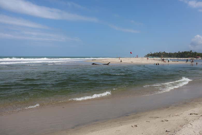 Litoral de Buritaca