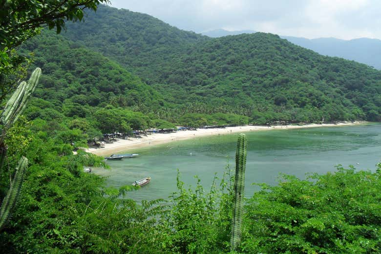 Lush vegetation of Playa Cristal