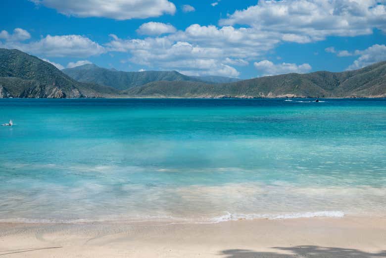 Aguas turquesas en el Tayrona