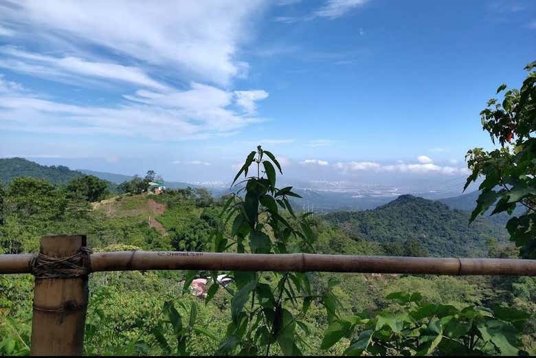 Atravessando a floresta nativa
