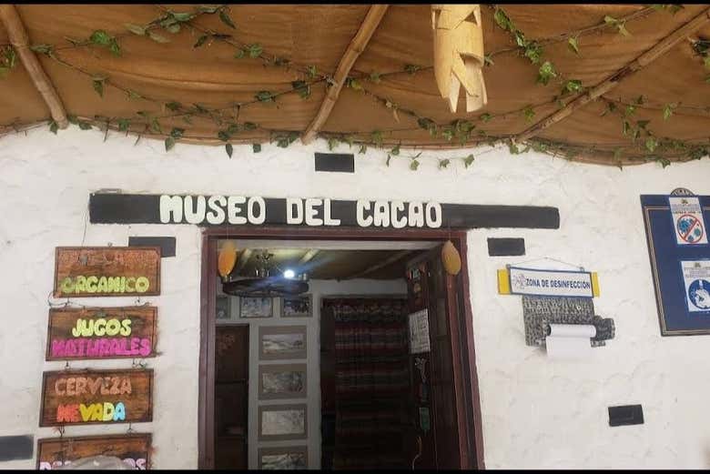Visitando o Museu do Cacau