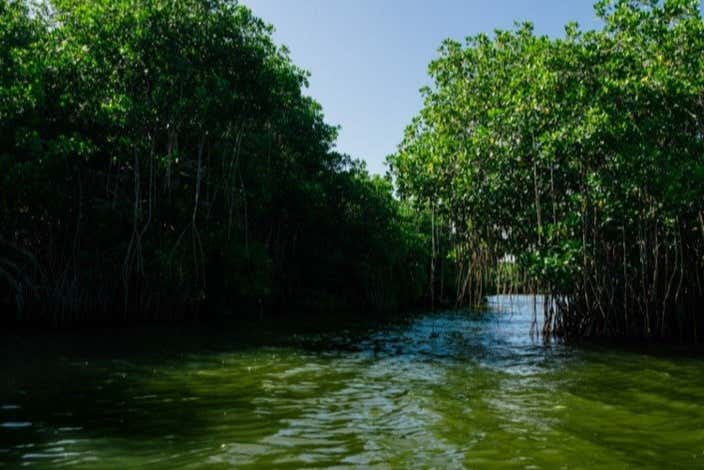 Exploring Ciénaga's nature