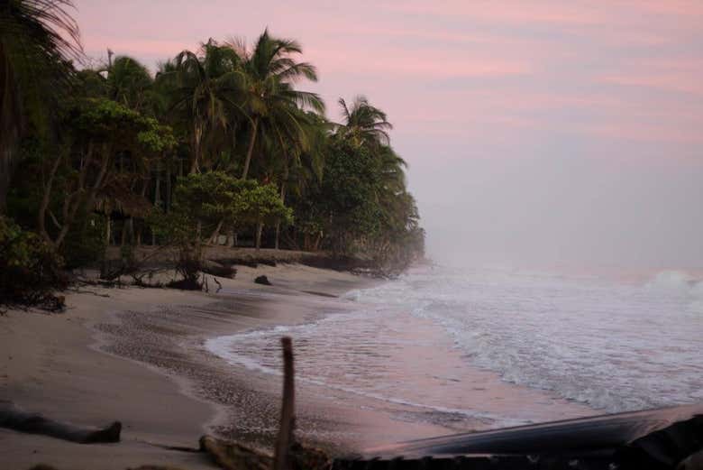 Playa de Palomino