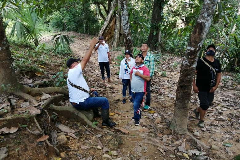 Listening to the guide