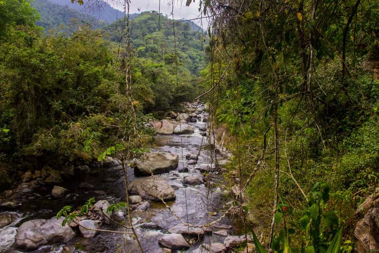 Paisajes a orillas del río Buritaca
