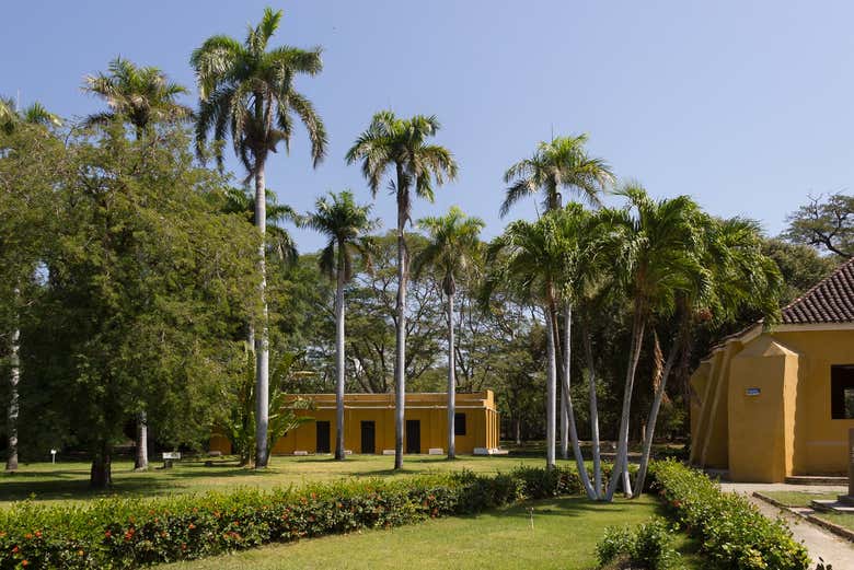 Paseando por los parques de la ciudad