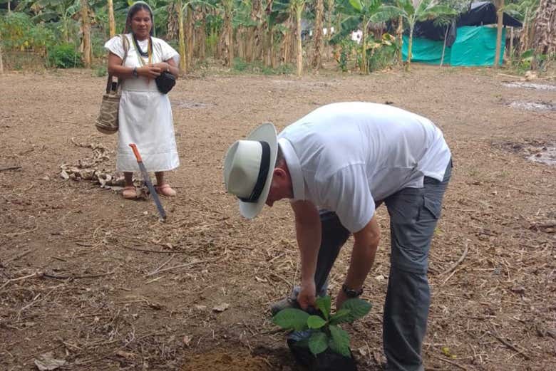 Plantando un árbol en el refugio