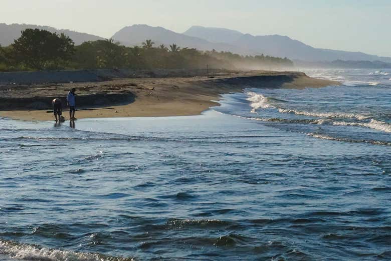 Buritaca Beach