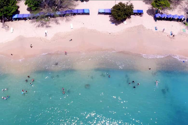 An aerial view of the beach