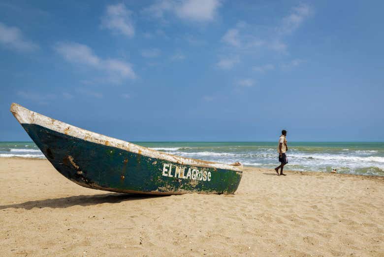 Strolling along Palomino's shores