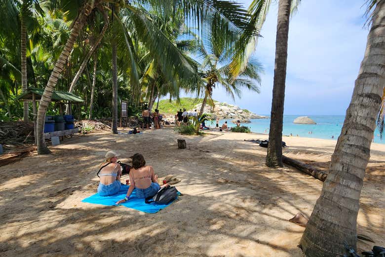 Disfrutando del entorno natural de Tayrona