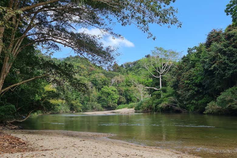 Profitez de la nature