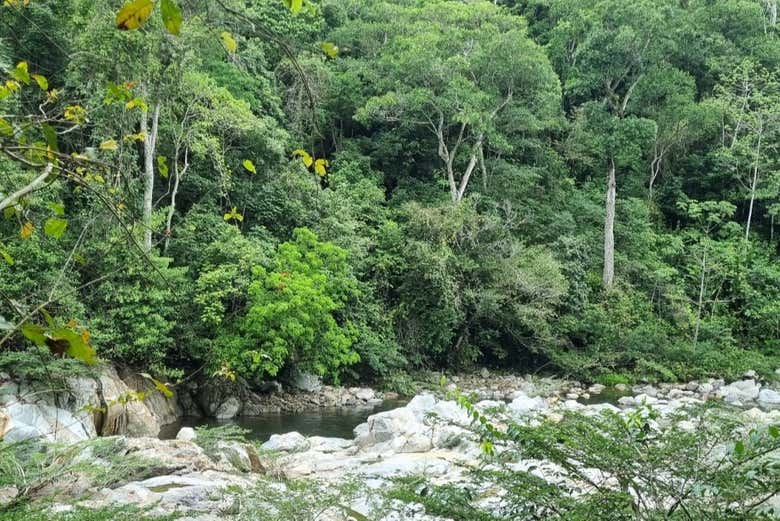 Disfrutando de la excursión a la Laguna Encantada