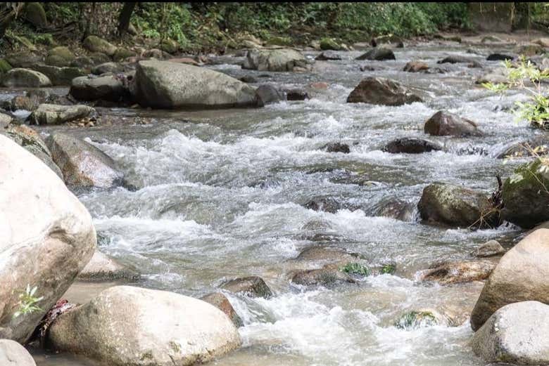 Vendo o fluxo do rio Minca