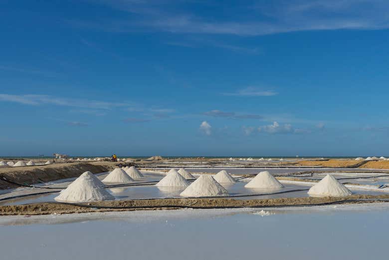 Visiting the Manaure salt flats