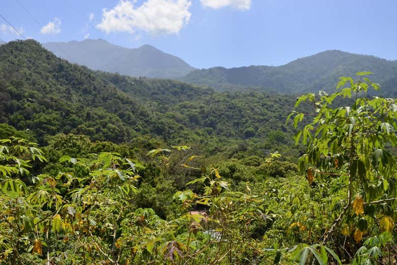 Minca's surroundings