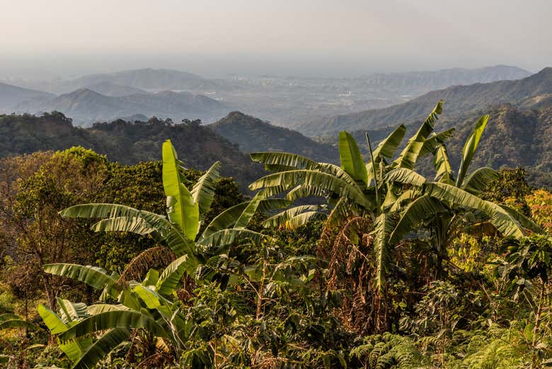 Bosques cerca de Minca con Santa Marta en el fondo