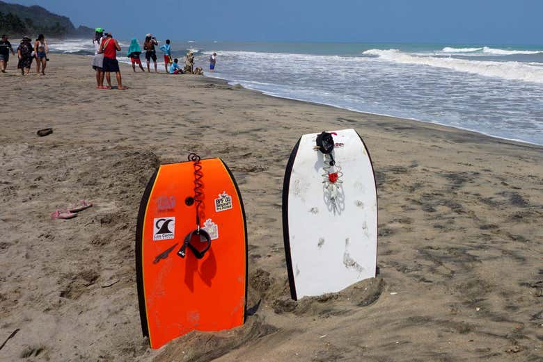 Surfboards in the sand