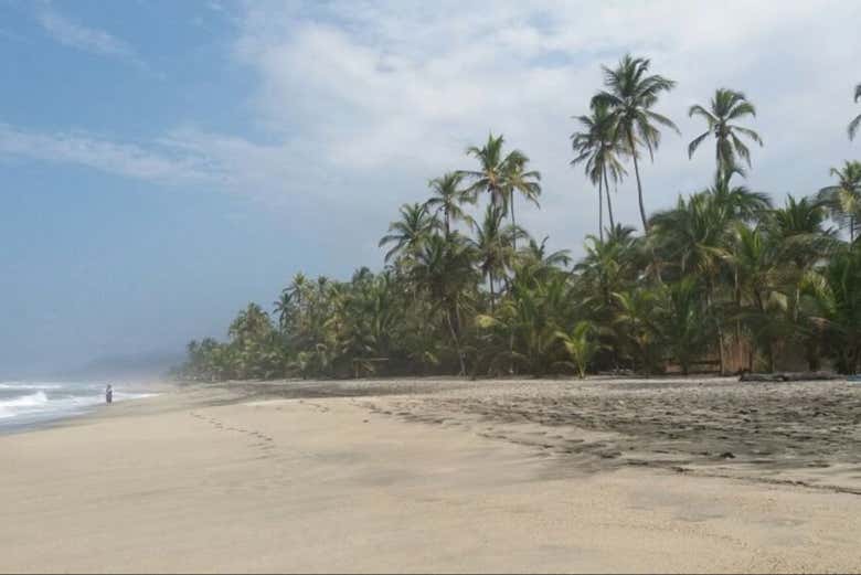 A praia de Guachaca