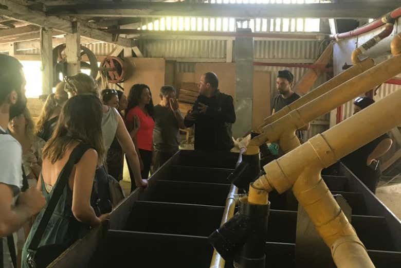 Conociendo el interior de la fábrica