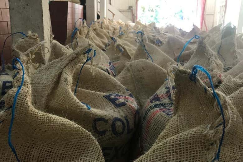 Café listo para ser distribuido