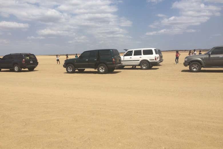 Veículos para o tour