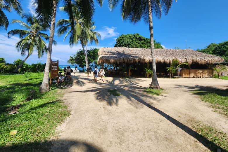 Caminando hacia una de las cabañas de Tayrona