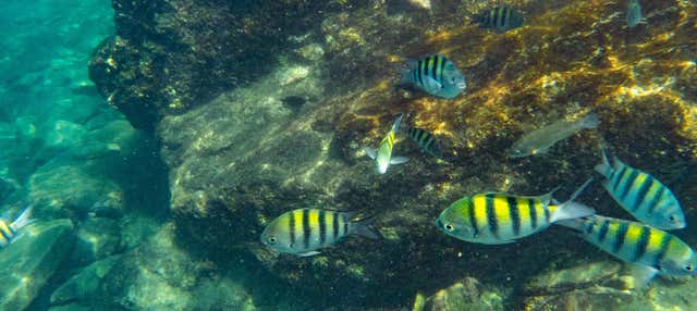 Snorkel no Parque Tayrona