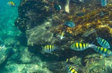 Snorkel no Parque Tayrona