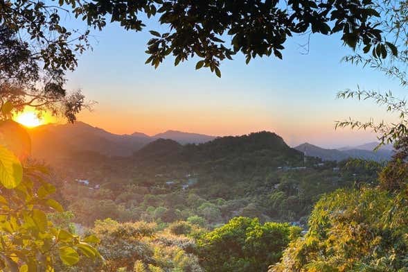 Senderismo por la Selva de Minca