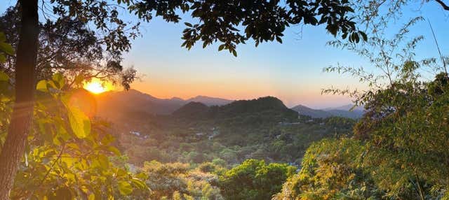 Senderismo por la Selva de Minca