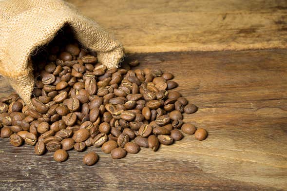 Coffee Plantation Visit + Craft Beer Tasting
