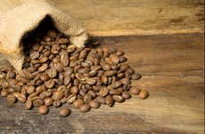 Visita a una finca cafetera + Cata de cervezas artesanales