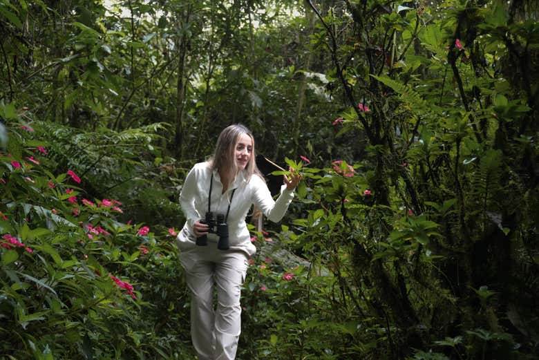 Descubriréis un frondoso paraje