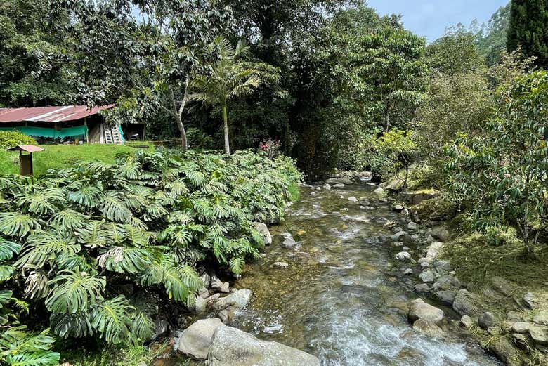 Disfrutaremos de una verde y exuberante naturaleza