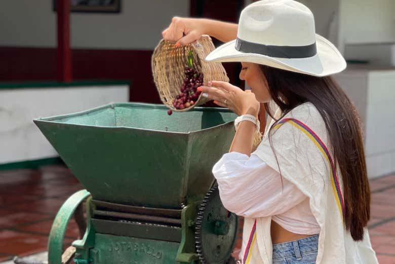 Aprenderemos todo el proceso de la producción de café