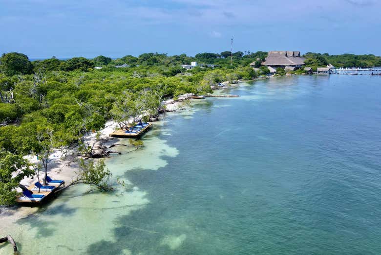 Palmeiras e águas cristalinas na ilha Palma