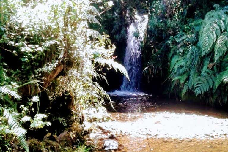Admiring the waterfalls of Silvia's moorland