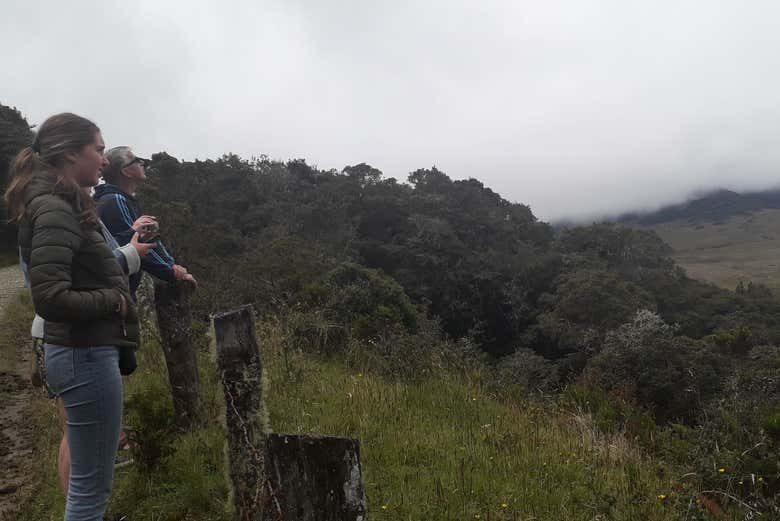 Observing the wilderness of Silvia