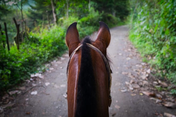Paseo a caballo por Silvia