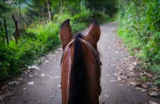 Balade à cheval à Silvia