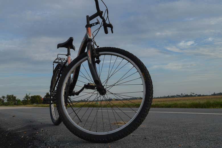 Bicileta de alquiler