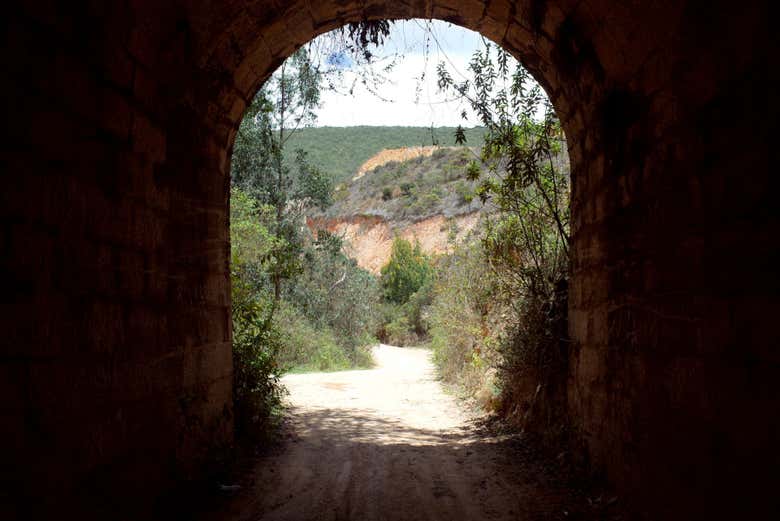 Durante la ruta de senderismo